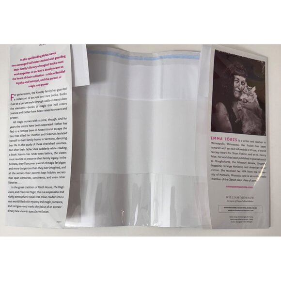 Ink Blood Sister Scribe By Emma Törzs 1987 First Edition Hardcover Novel w/ DJ - Picture 2 of 15